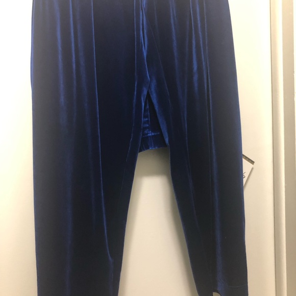 Blue velour dress pants - Picture 4 of 5
